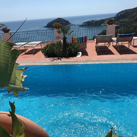 L' Ulivo Villa Nunzia Barano d'Ischia Екстер'єр фото