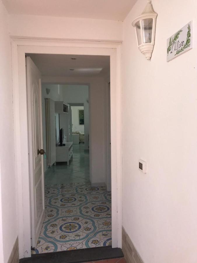 L' Ulivo Villa Nunzia Barano d'Ischia Екстер'єр фото