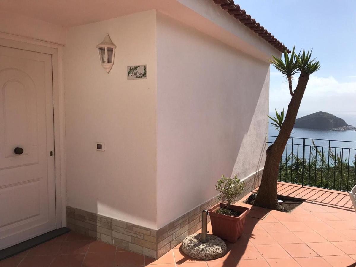 L' Ulivo Villa Nunzia Barano d'Ischia Екстер'єр фото